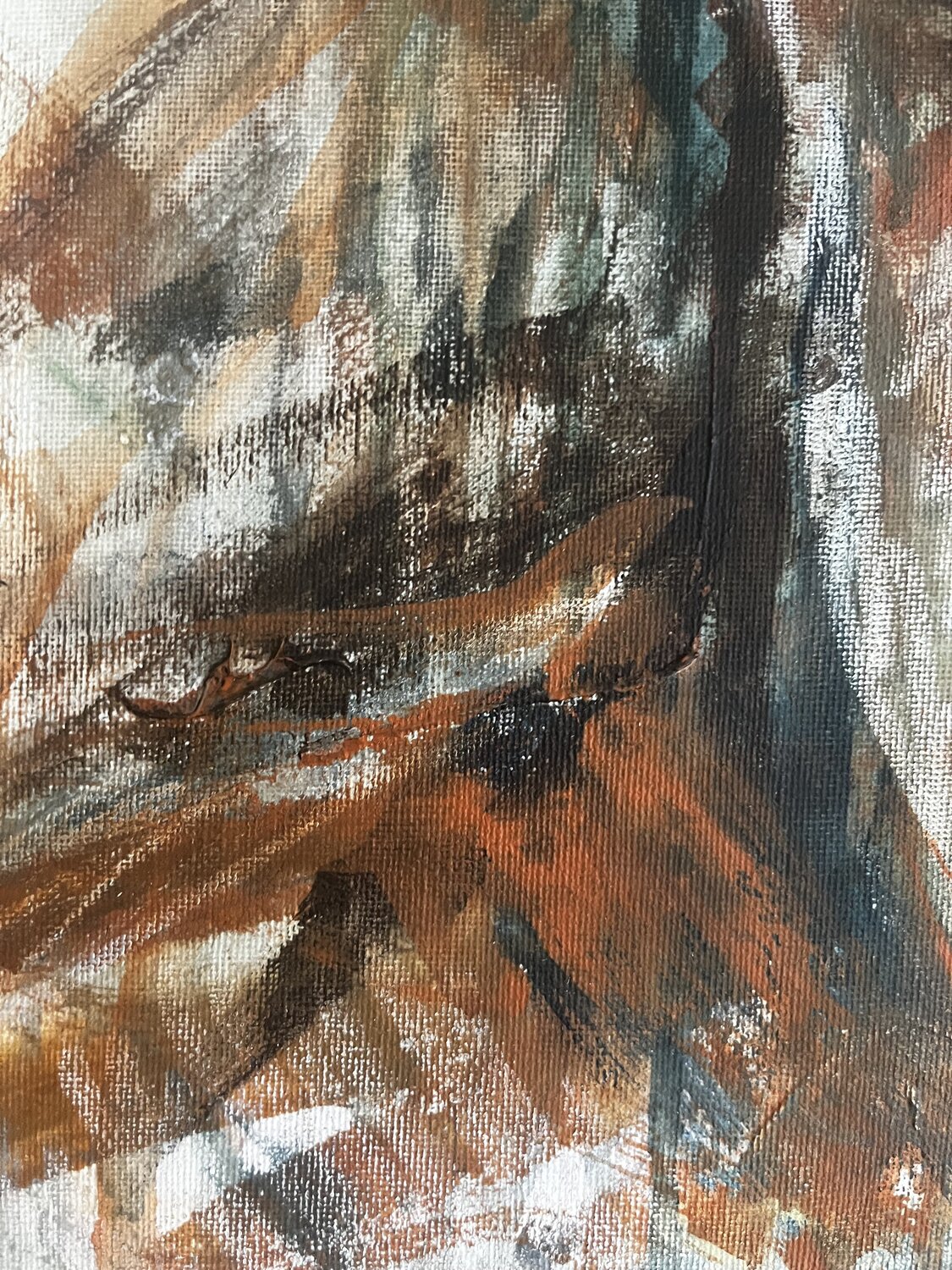 La beauté brésilienne