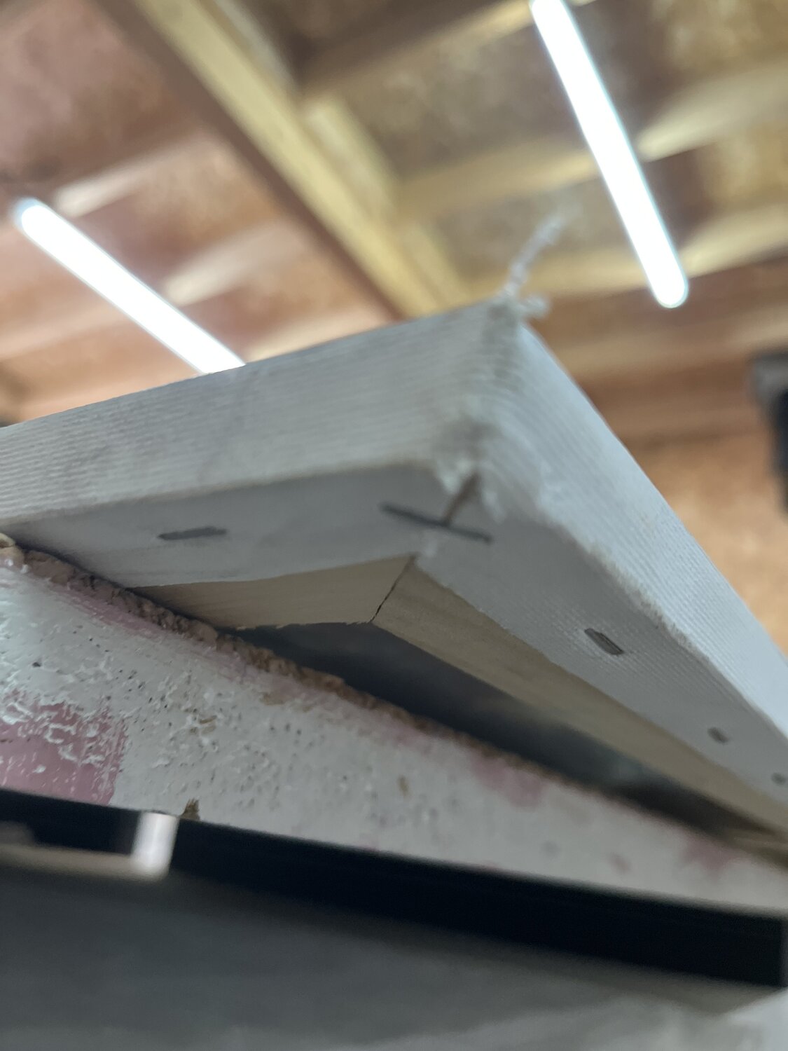 La beauté brésilienne