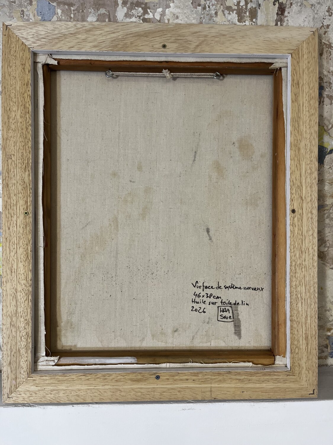 Surface du système nerveux