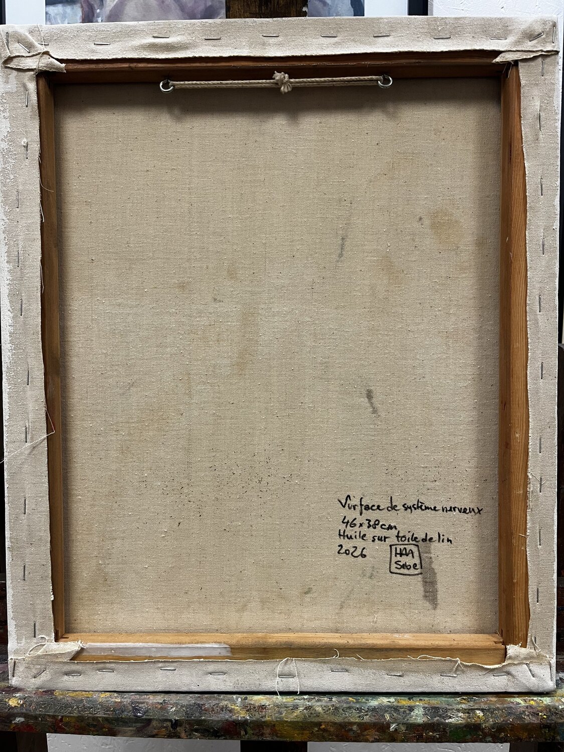 Surface du système nerveux